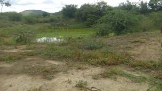 Fazenda no bairro Cidade Alta