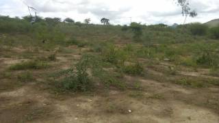 Fazenda no bairro Cidade Alta