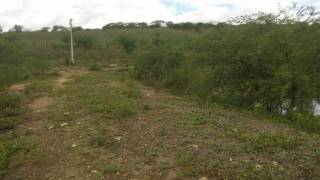 Fazenda no bairro Cidade Alta