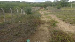 Fazenda no bairro Cidade Alta