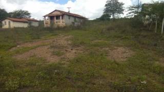 Fazenda no bairro Cidade Alta