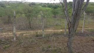 Fazenda no bairro Cidade Alta