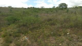 Fazenda no bairro Cidade Alta