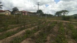 Fazenda no bairro Cidade Alta