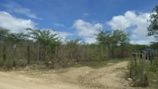 Fazenda no bairro Cidade Alta