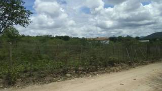 Fazenda no bairro Cidade Alta