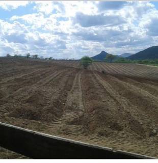 Fazenda no bairro Cidade Alta