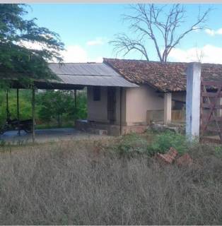 Fazenda no bairro Cidade Alta