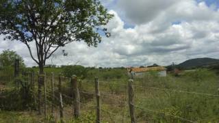 Fazenda no bairro Cidade Alta