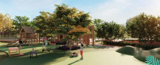 FLAT Beach class Wave LAZER TAMANDARE PRAIA DE CARNEIROS