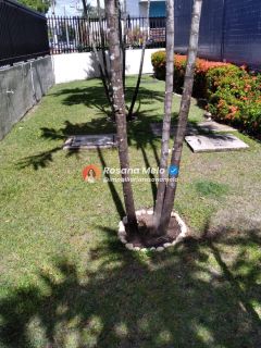 Edf. Maria Antônia, Setúbal,3 quartos, 1 suíte, 1 vaga, lazer, Boa Viagem