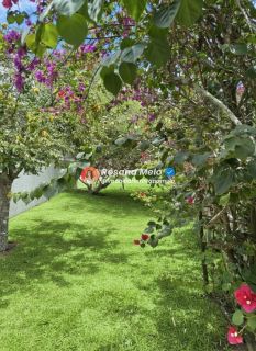 Cond. Gravatá Country, casa reformada, 385m², varanda panorâmica, 5 suítes (2 suítes master), 6 vagas, lazer completo, Gravatá.