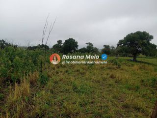 Sítio em Sairé com 9000m² com localização privilegiada, perfeito para investimento.