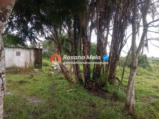 Sítio em Sairé com 9000m² com localização privilegiada, perfeito para investimento.
