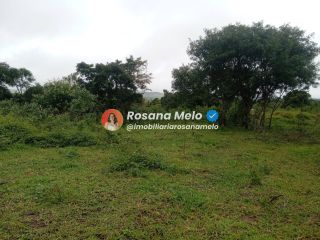 Sítio em Sairé com 9000m² com localização privilegiada, perfeito para investimento.