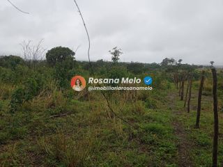 Sítio em Sairé com 9000m² com localização privilegiada, perfeito para investimento.