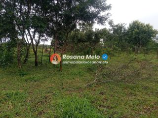 Sítio em Sairé com 9000m² com localização privilegiada, perfeito para investimento.