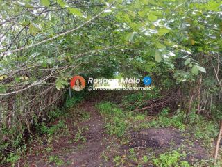 Sítio em Sairé com 9000m² com localização privilegiada, perfeito para investimento.
