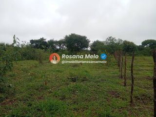 Sítio em Sairé com 9000m² com localização privilegiada, perfeito para investimento.