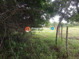 Sítio em Sairé com 9000m² com localização privilegiada, perfeito para investimento.