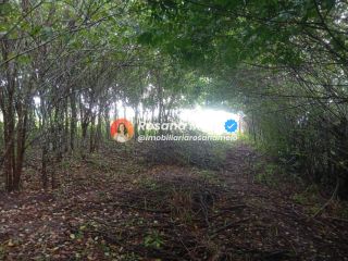 Sítio em Sairé com 9000m² com localização privilegiada, perfeito para investimento.