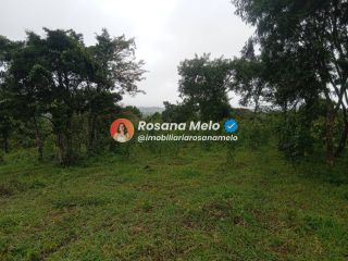Sítio em Sairé com 9000m² com localização privilegiada, perfeito para investimento.