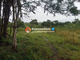 Sítio em Sairé com 9000m² com localização privilegiada, perfeito para investimento.