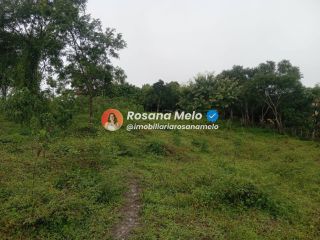 Sítio em Sairé com 9000m² com localização privilegiada, perfeito para investimento.