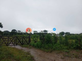 Sítio em Sairé com 9000m² com localização privilegiada, perfeito para investimento.