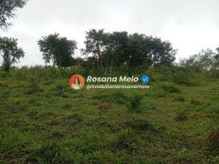 Sítio em Sairé com 9000m² com localização privilegiada, perfeito para investimento.