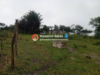 Sítio em Sairé com 9000m² com localização privilegiada, perfeito para investimento.