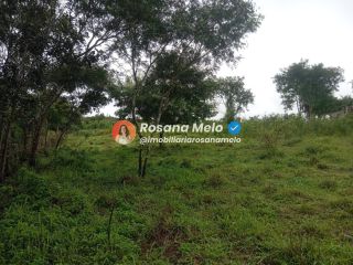 Sítio em Sairé com 9000m² com localização privilegiada, perfeito para investimento.
