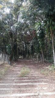 Lote / Terreno Comercial Para Vender  em Contagem