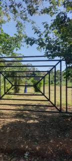 Sítio/ Chácara com 03 quartos 01 suítes no bairro Colônia Santa Isabel em Betim