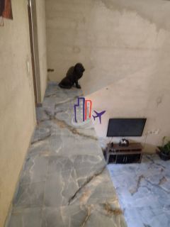 Sítio/ Chácara com 03 quartos 01 suítes no bairro Colônia Santa Isabel em Betim