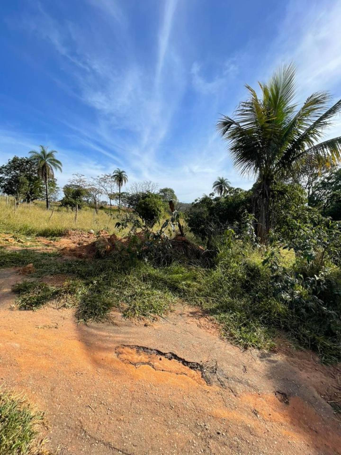 Chácara Para Vender no bairro Recanto Verde em Esmeraldas