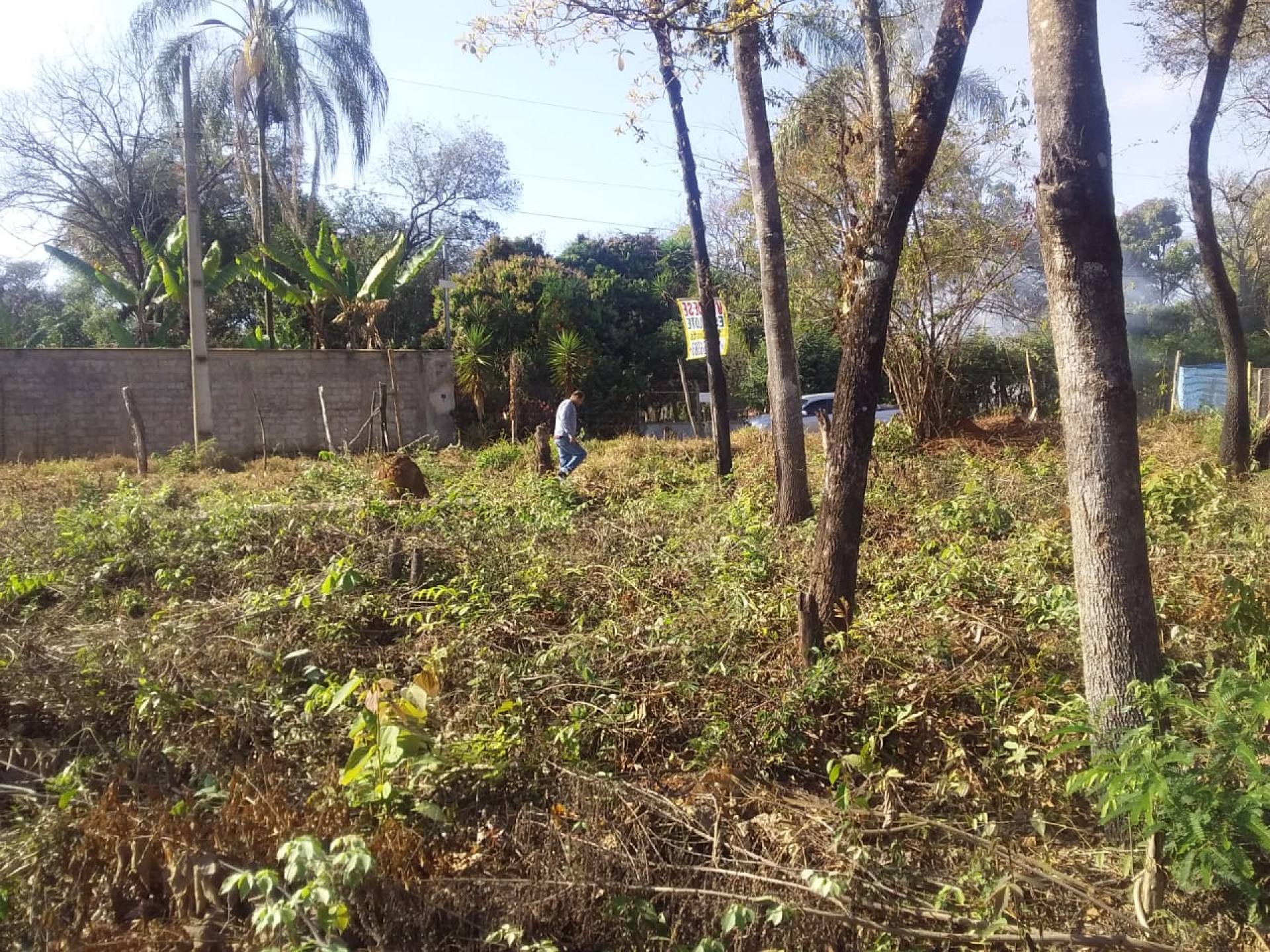 Lote / Terreno Área de Sítio Para Vender no bairro Tupã em Contagem