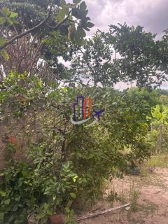 Casa com lote de 720m no bairro Praia em Contagem