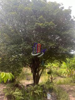 Casa com lote de 720m no bairro Praia em Contagem