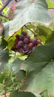 Casa com lote de 720m no bairro Praia em Contagem