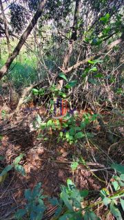 Lote / Terreno de Bairro Para Vender no bairro Zona Rural em Baldim