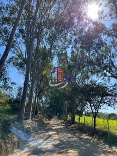 Chácara Para Vender no bairro Zona Rural em São Gonçalo Do Pará