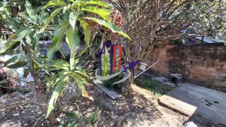 Lote  com 5 barracões no bairro São Caetano em Betim