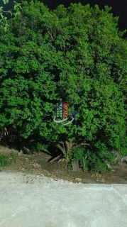 Casa Para Vender com 02 quartos no bairro Tropical em Contagem