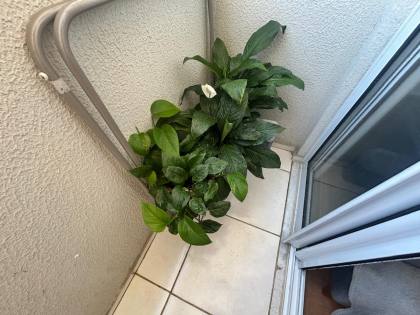 Apartamento Com Sacada 02 quartos 01 suíte no bairro Jardim Riacho das Pedras em Contagem