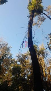 Terreno Para Vender no bairro Bandeirinhas em Betim