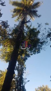 Terreno Para Vender no bairro Bandeirinhas em Betim