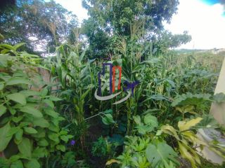 Casa Para Vender com 02 quartos no bairro Novo Retiro em Esmeraldas