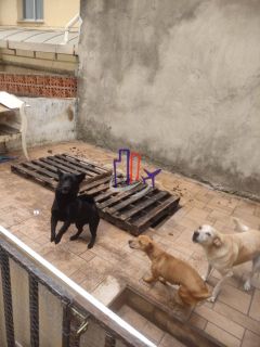 Apartamento Com área Privativa 02 quartos no bairro Novo Eldorado em Contagem