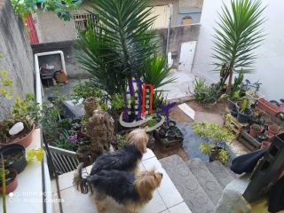 Casa Para Vender com 02 quartos no bairro Vale do Jatobá em Belo Horizonte